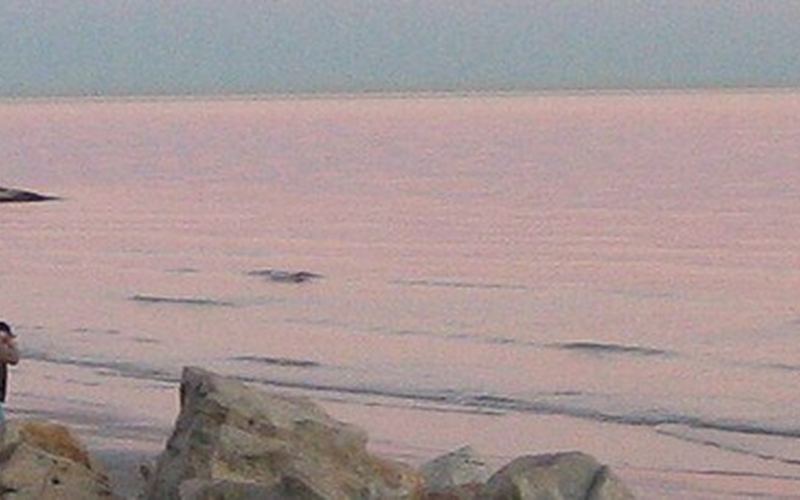 The Seawall from Frisco
