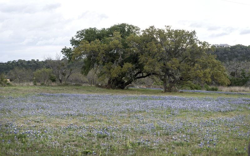 Texas Hill Country