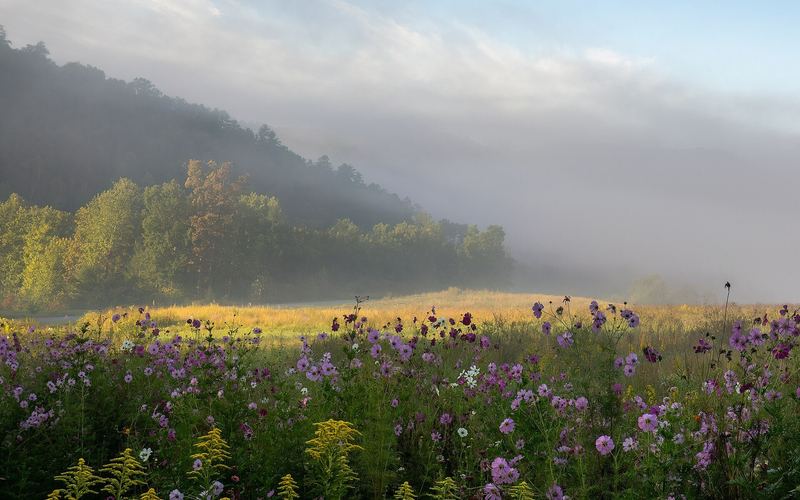 Great Smoky Mountains