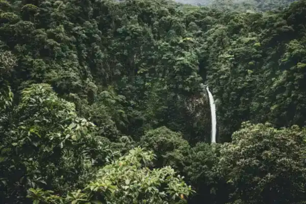 Waterfall rappelling / canyoning (lunch included)